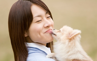 image for Dealing With Dog Breath